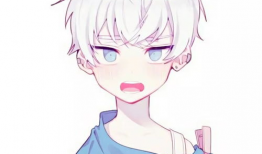 头像大全动漫,捕捉青春记忆的瞬间